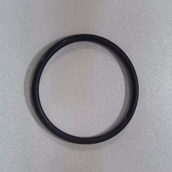 FKM joint torique FEP encapsulé en usine personnalisé en caoutchouc d'étanchéité Silicone NBR EPDM Viton Oring O